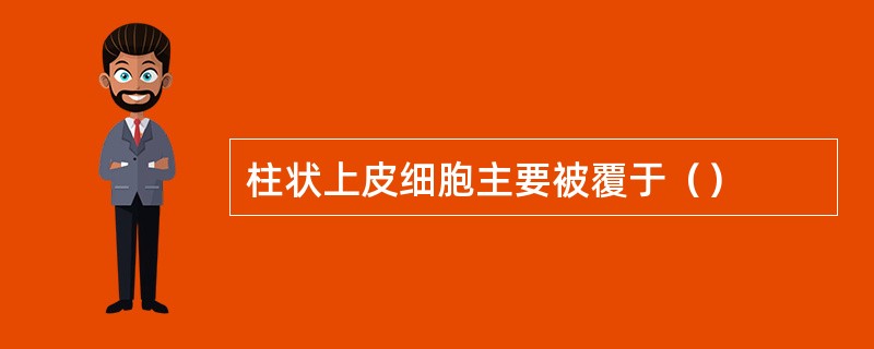 柱状上皮细胞主要被覆于（）