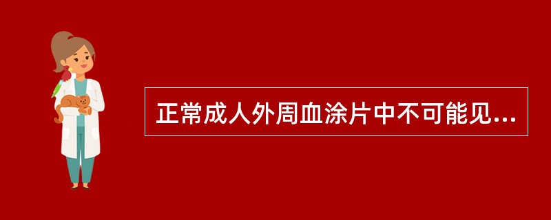 正常成人外周血涂片中不可能见到的是（）