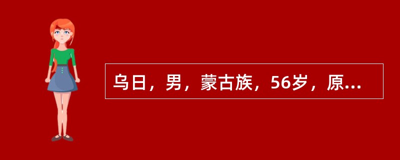 乌日，男，蒙古族，56岁，原任内蒙古自治区某研究所所长。2005年，乌日多次利用职务之便，将掌握的国家秘密文件非法倒卖给境外组织，情节较轻。<br />侦查过程中，乌日以自己不会说汉语为由