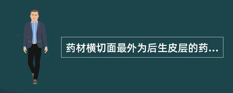 药材横切面最外为后生皮层的药材是（）