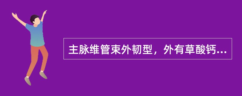 主脉维管束外韧型，外有草酸钙棱晶薄壁细胞，形成晶纤维的中药材为（）