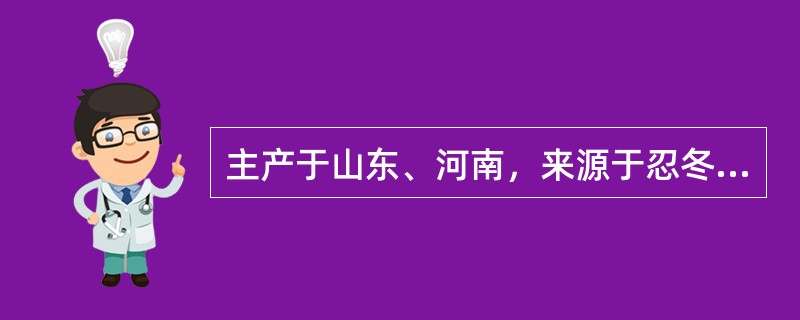 主产于山东、河南，来源于忍冬科的是（）