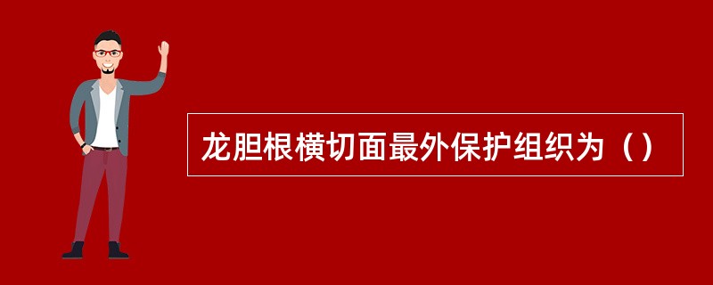 龙胆根横切面最外保护组织为（）