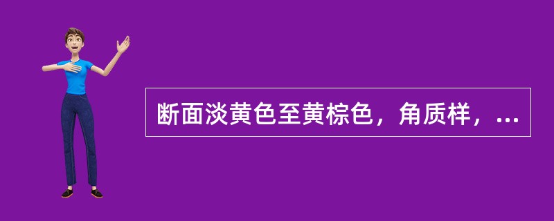 断面淡黄色至黄棕色，角质样，周围有2～4轮黄白色小点，气微，味微甜而稍苦涩的药材是（）