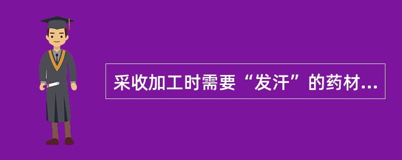 采收加工时需要“发汗”的药材是（）