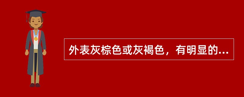 外表灰棕色或灰褐色，有明显的椭圆形皮孔。此药材为（）