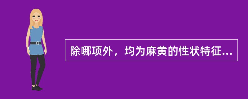 除哪项外，均为麻黄的性状特征？（）
