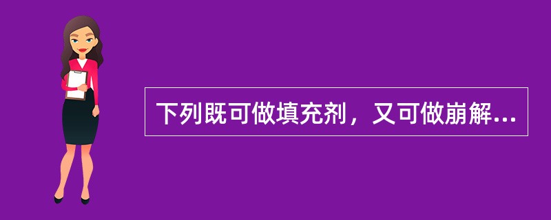 下列既可做填充剂，又可做崩解剂、黏合剂的是（）