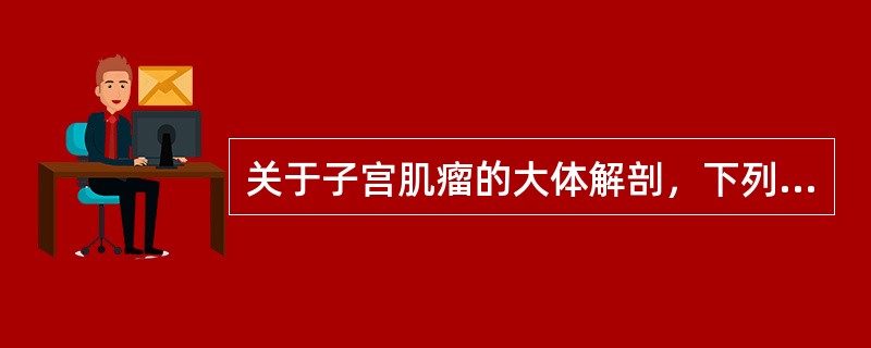 关于子宫肌瘤的大体解剖，下列哪项正确()