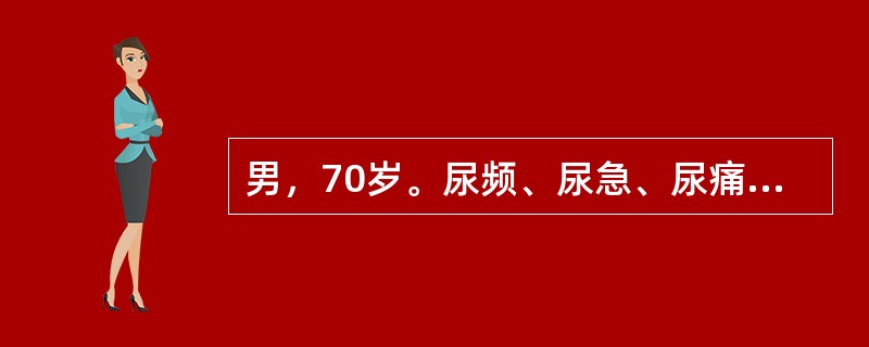 男，70岁。尿频、尿急、尿痛，伴血尿，一般抗生素治疗无效。尿检：白细胞30～40个，红细胞20～30个／HP。有肺结核病史。下一步首先要进行的检查是()