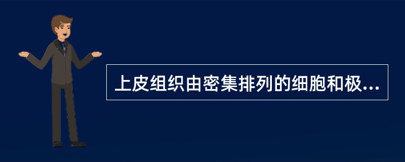 上皮组织由密集排列的细胞和极少量的细胞间质构成，细胞有明显的极性，有丰富的神经末梢，但无血管和淋巴管。上皮组织主要分为被覆上皮和腺上皮，具有保护、分泌、吸收和排泄等功能。被覆上皮覆盖于身体表面和衬贴在