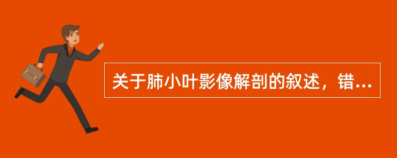 关于肺小叶影像解剖的叙述，错误的是（）