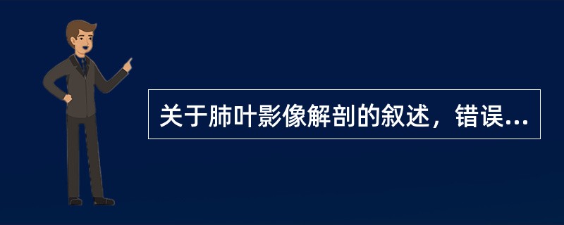 关于肺叶影像解剖的叙述，错误的是（）