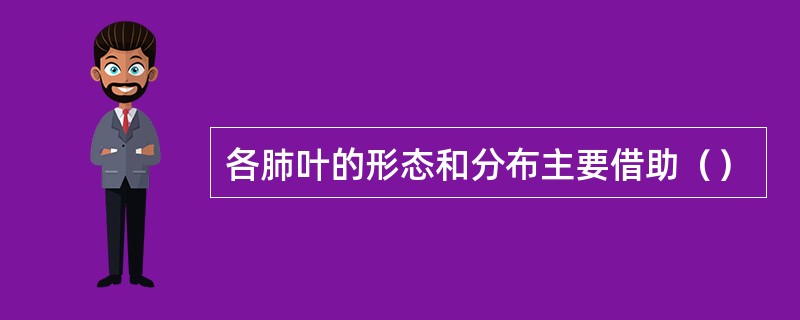 各肺叶的形态和分布主要借助（）