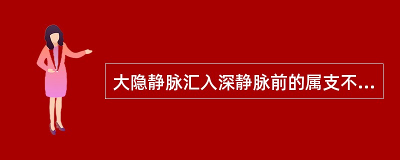 大隐静脉汇入深静脉前的属支不包括()