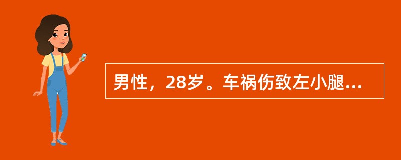 男性，28岁。车祸伤致左小腿肿胀、压痛，膝下8cm处成角畸形，小腿短缩，胫骨前侧有10cm皮肤裂口，足背动脉搏动消失。正确的诊断是()