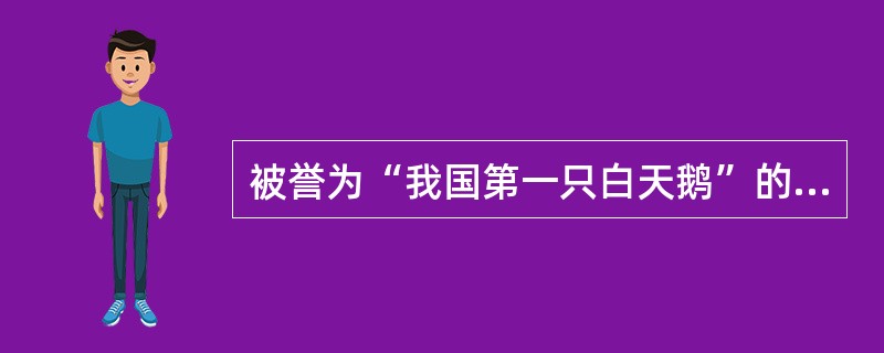 被誉为“我国第一只白天鹅”的是（）