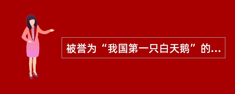 被誉为“我国第一只白天鹅”的是（）