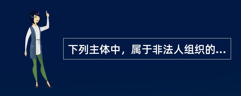 下列主体中，属于非法人组织的是（ ）。