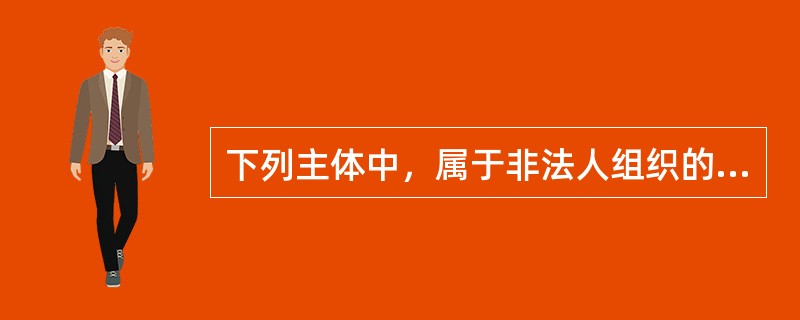 下列主体中，属于非法人组织的是（　　）。