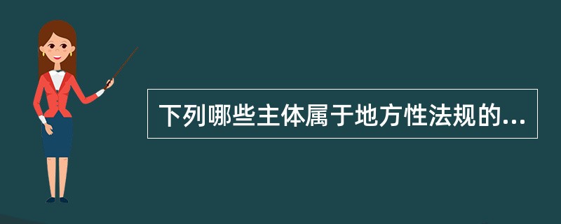 下列哪些主体属于地方性法规的制定主体？（　）