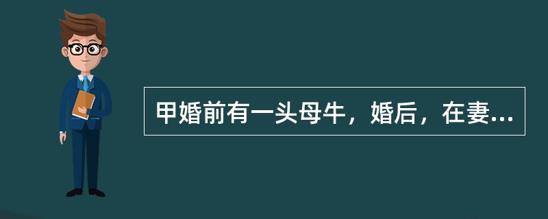 甲婚前有一头母牛，婚后，在妻子乙的精心照料下，该牛生了一头小牛。一年后甲乙离婚，关于小牛的归属说法正确的有（　　）。