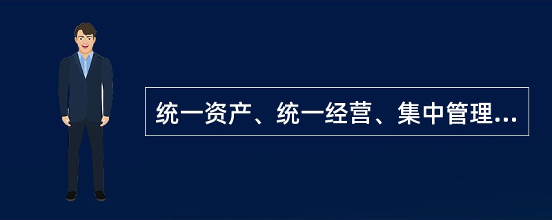 统一资产、统一经营、集中管理、分散销售是（　　）的特点。