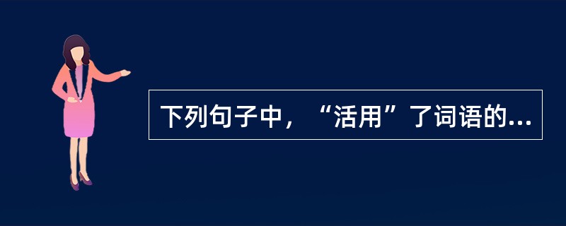 下列句子中，“活用”了词语的句子有（　　）。