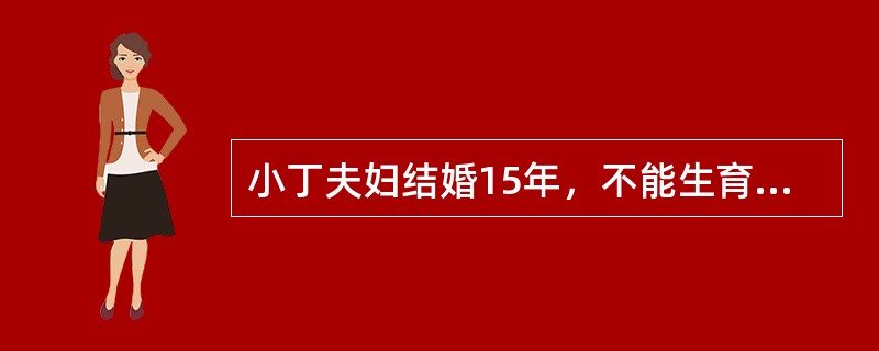 小丁夫妇结婚15年，不能生育，欲收养一名子女。根据《收养法》，小丁夫妻可以收养的是（　　）。