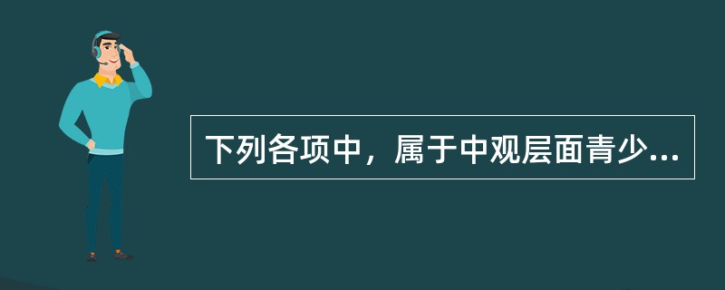 下列各项中，属于中观层面青少年社会工作的有（　　）。