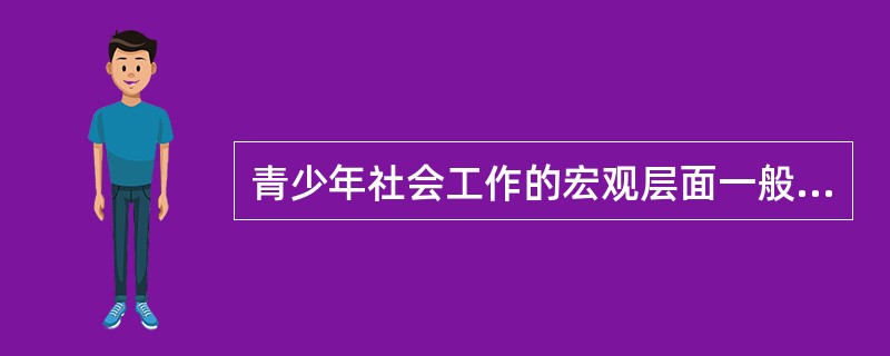 青少年社会工作的宏观层面一般指组织和（　　）社会工作。