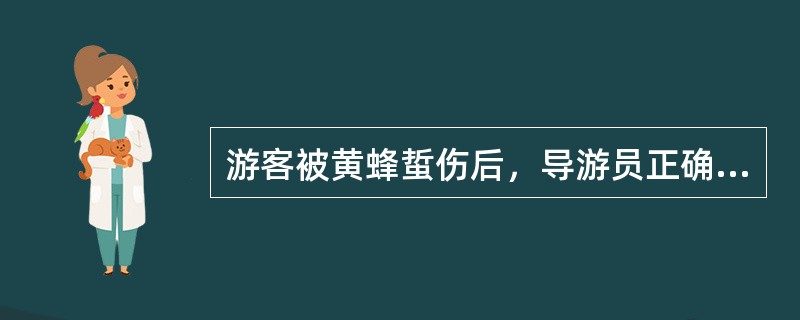 游客被黄蜂蜇伤后，导游员正确的处理方法是（）。