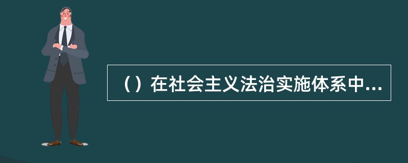 （）在社会主义法治实施体系中具有基础性的意义。