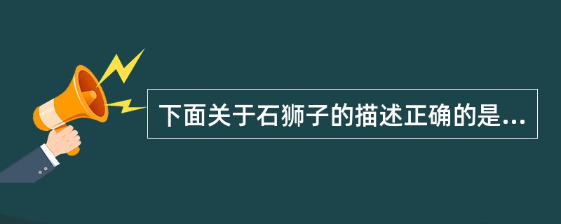 下面关于石狮子的描述正确的是（）。
