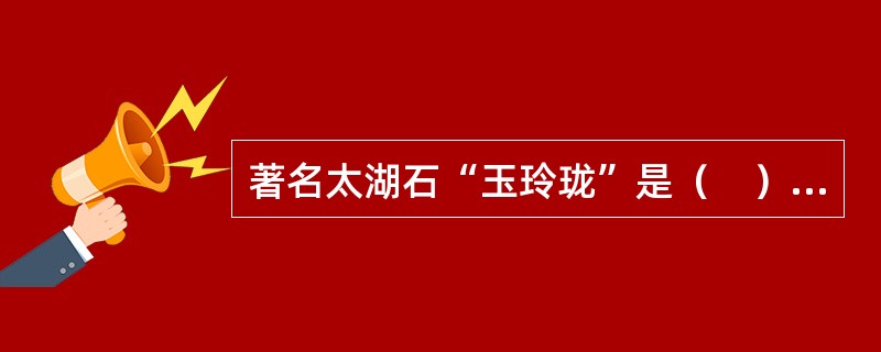 著名太湖石“玉玲珑”是（　）的主要景观之一。