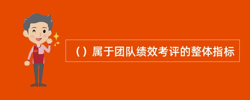 （）属于团队绩效考评的整体指标
