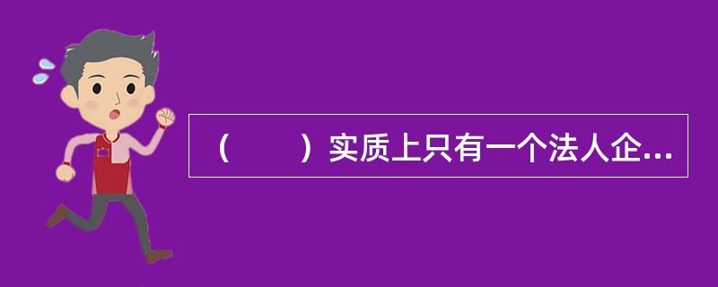 （　　）实质上只有一个法人企业。(2013年5月真题)