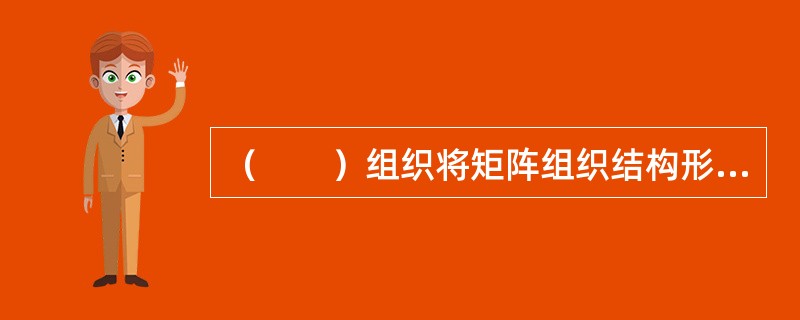 （　　）组织将矩阵组织结构形式与事业部组织结构形式有机地结合在一起。