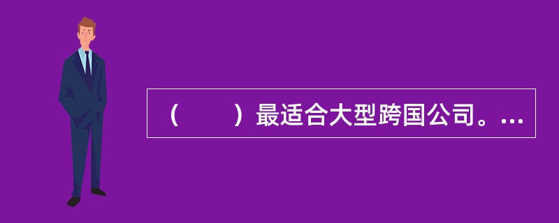 （　　）最适合大型跨国公司。(2012年11月真题)