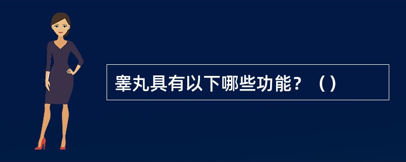 睾丸具有以下哪些功能？（）