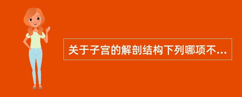 关于子宫的解剖结构下列哪项不正确（）