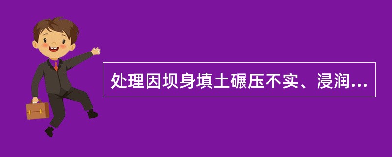 处理因坝身填土碾压不实、浸润线过高而造成的背水坡尾矿坝滑坡事故的原则是( )。