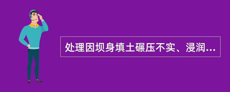 处理因坝身填土碾压不实、浸润线过高而造成的背水坡尾矿坝滑坡事故的原则是( )。