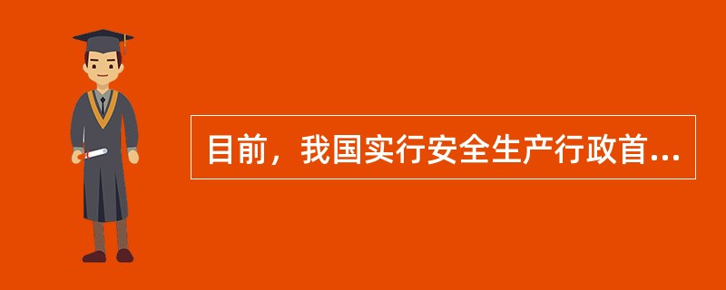 目前，我国实行安全生产行政首长负责制，但承担安全生产主体责任的是( )。