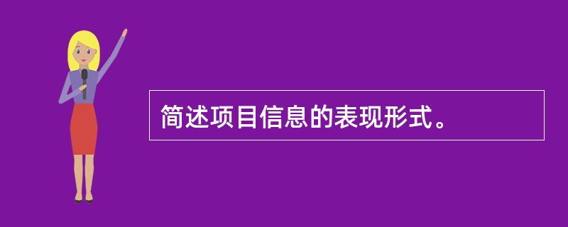 简述项目信息的表现形式。