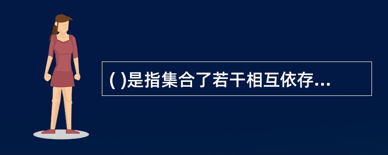 ( )是指集合了若干相互依存和相互制约要素，为实现特定目的而组成的有机整体。