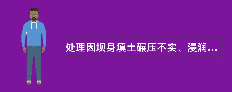 处理因坝身填土碾压不实、浸润线过高而造成的背水坡尾矿坝滑坡事故的原则是( )。