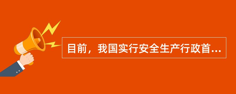 目前，我国实行安全生产行政首长负责制，但承担安全生产主体责任的是( )。