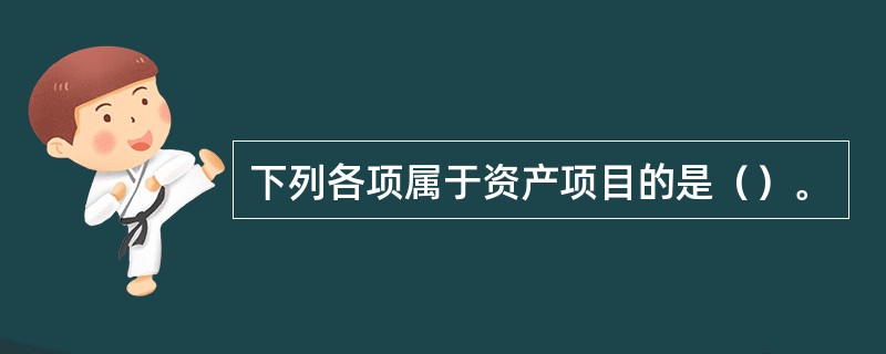 下列各项属于资产项目的是（）。