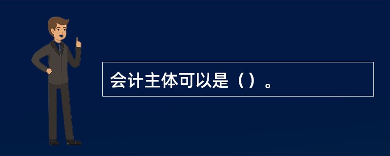 会计主体可以是（）。